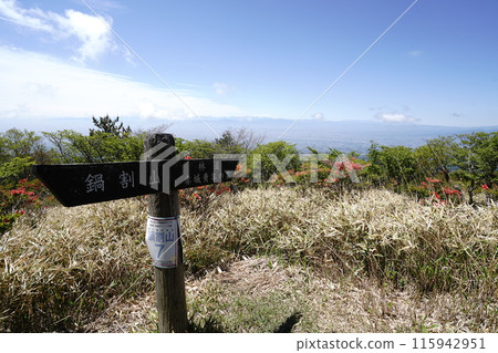 從愛吉林道登山口前往赤城山鍋割山途中的鍋割高原杜鵑花 2024年5月14日 115942951