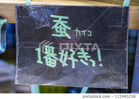 Handwritten panel 115943256