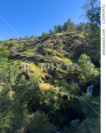 A wooden staircase meanders up a lush hillside under a brilliant blue sky 115943472