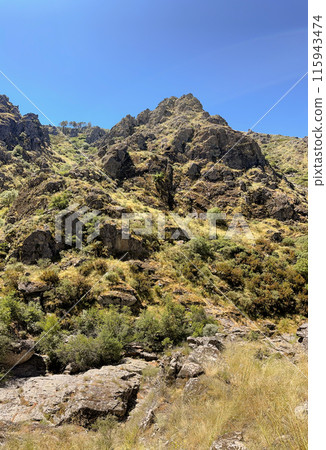 A rugged terrain under clear blue skies, adorned with green shrubbery 115943474