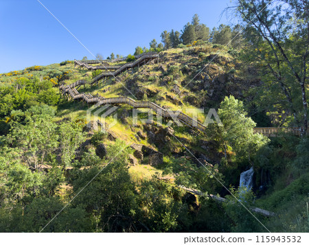 A journey into nature heart via a wooden staircase 115943532