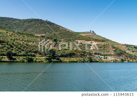 View of Douro Valley, Portugal. View of Douro Valley, Portugal. 115943615