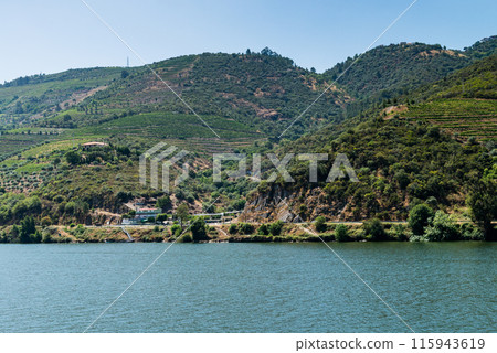 View of Douro Valley, Portugal. View of Douro Valley, Portugal. 115943619