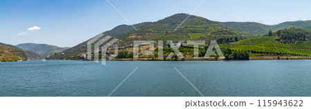 View of Douro Valley, Portugal. View of Douro Valley, Portugal. 115943622