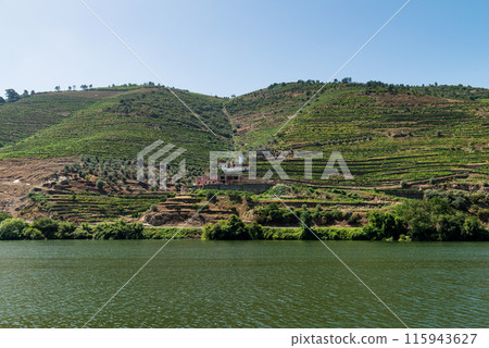 View of Douro Valley, Portugal. View of Douro Valley, Portugal. 115943627