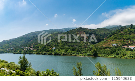 View of Douro Valley, Portugal. 115943628
