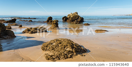 Beach of Praia da Rocha Beach of Praia da Rocha 115943640
