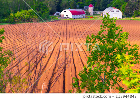 Spring Farm Spring Farm 115944842