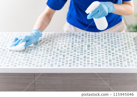 年輕的房屋清潔女生活方式形象 115945046