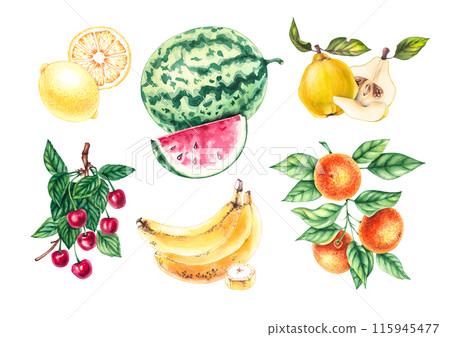 Hand drawn banana, watermelon, cherry, mandarin, lemon, quince 115945477