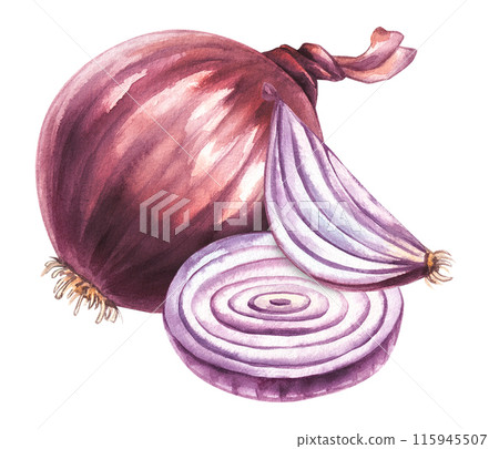 Watercolor vegetable onion with pieces 115945507
