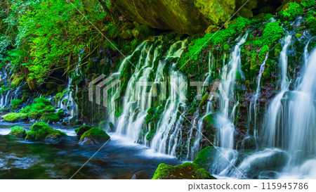 Motoyuki underwater water 115945786