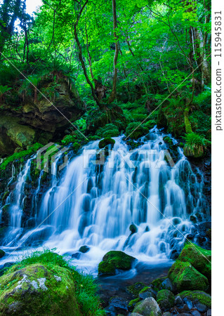 Motoyuki underwater water 115945831