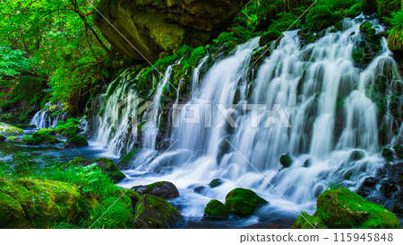 Motoyuki underwater water 115945848