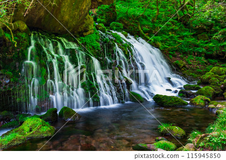 Motoyuki underwater water 115945850