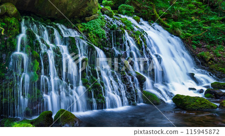 Motoyuki水下水 115945872