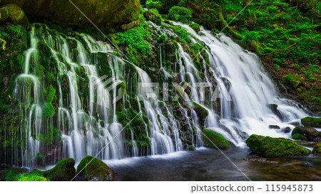 Motoyuki水下水 115945873