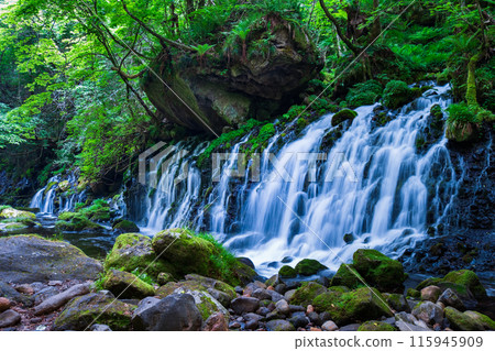 Motoyuki underwater water 115945909