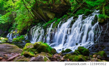 Motoyuki underwater water 115945912