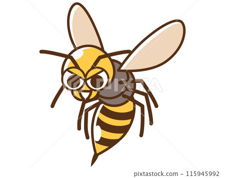 Pest_bee illustration Pest_bee illustration 115945992