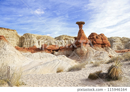 Todstuhl Hoodoos，猶他州大階梯埃斯卡蘭特國家紀念碑中的蘑菇岩 115946164