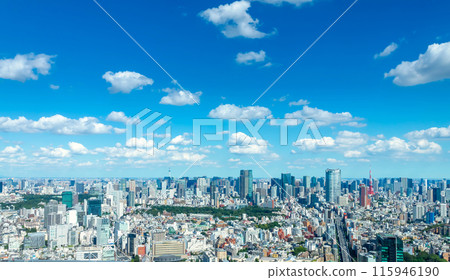 東京風景：從澀谷看市中心 115946190