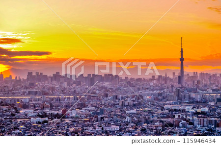 Tokyo Sunset Tokyo Sunset 115946434