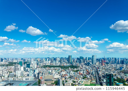 Tokyo scenery: View of downtown Tokyo from Shibuya Tokyo scenery: View of downtown Tokyo from Shibuya 115946445