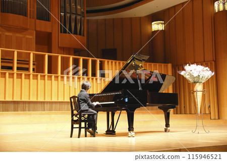 一個男孩在獨奏會上彈鋼琴 一個男孩在獨奏會上彈鋼琴 115946521