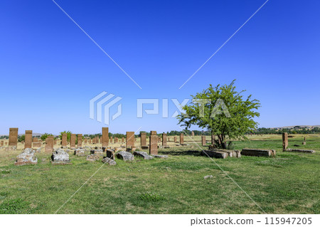 Cemetery in Ahlat 115947205