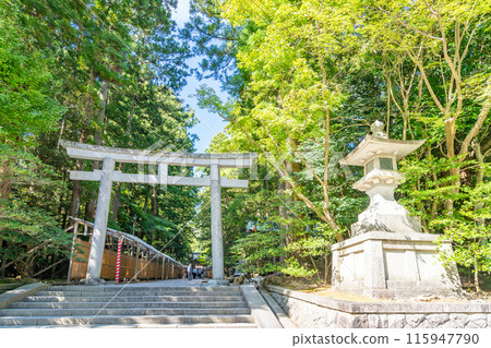 越後一宮彌彥神社第二鳥居 越後一宮彌彥神社第二鳥居 115947790