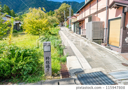 彌彥神社終點神社、住吉神社大櫸樹、章魚櫸樹、彌彥的章魚櫸樹,非常像八足展開的大章魚 彌彥神社終點神社、住吉神社大櫸樹、章魚櫸樹、彌彥的章魚櫸樹,非常像八足展開的大章魚 115947808