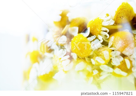 Close-up of carbon dioxide bubbles from handmade natural yeast on German chamomile flowers on white background 115947821
