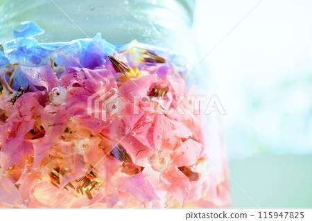 琉璃苣天然手工花酵母溶液的特寫，該溶液已發酵並開始在白色背景上從底部開始從藍色變為粉紅色 115947825