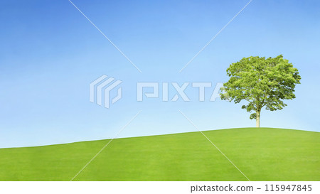 刷新橫幅背景與藍天和一棵樹。生態環保形象 115947845