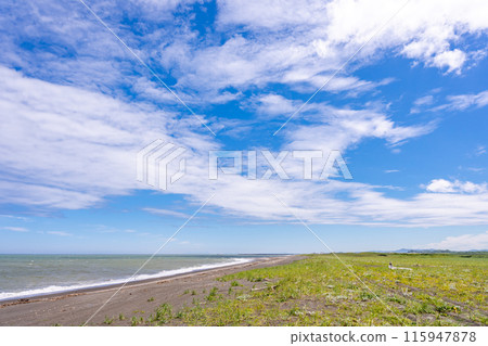 夏季的鄂霍次克海和草原 夏季的鄂霍次克海和草原 115947878