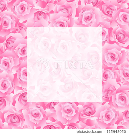 粉紅玫瑰的框架無間隙展開 粉紅玫瑰的框架無間隙展開 115948050