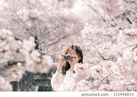 一個女人在欣賞櫻花時很開心 115948053