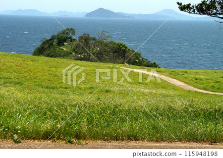 A spectacular view of Nanatsugama Garden in Karatsu City, Saga Prefecture 115948198