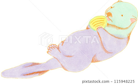 Hand-drawn illustration of a sea otter 115948225