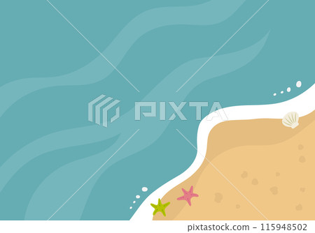 海和沙灘，有貝殼和海星 115948502