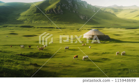 meadow, sheep, cows 115948699