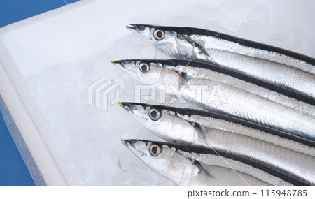 裝在泡沫塑料盒中的冰上秋刀魚 裝在泡沫塑料盒中的冰上秋刀魚 115948785