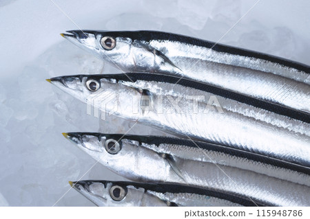 Saury on ice in a styrofoam box Saury on ice in a styrofoam box 115948786