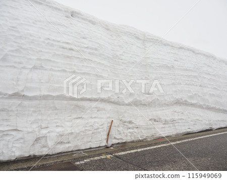 初夏立山黑部阿爾卑斯山路線室堂大雪溪谷的雪牆景觀 115949069
