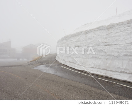 初夏立山黑部阿爾卑斯山路線室堂大雪溪谷的雪牆景觀 115949071