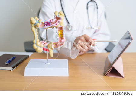 Doctor with human Colon anatomy model and tablet. Colonic disease, Large Intestine, Colorectal cancer, Ulcerative colitis, Diverticulitis, Irritable bowel syndrome and Digestive system 115949302