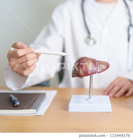 Doctor with human Liver anatomy model. Liver cancer and Tumor, Jaundice, Viral Hepatitis A, B, C, D, E, Cirrhosis, Failure, Enlarged, Hepatic Encephalopathy, Ascites Fluid in Belly and health concept Doctor with human Liver anatomy model. Liver cancer and Tumor, Jaundice, Viral Hepatitis A, B, C, D, E, Cirrhosis, Failure, Enlarged, Hepatic Encephalopathy, Ascites Fluid in Belly and health concept 115949376
