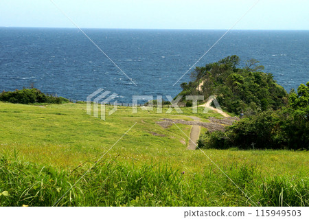 A spectacular view of Nanatsugama Garden in Karatsu City, Saga Prefecture A spectacular view of Nanatsugama Garden in Karatsu City, Saga Prefecture 115949503
