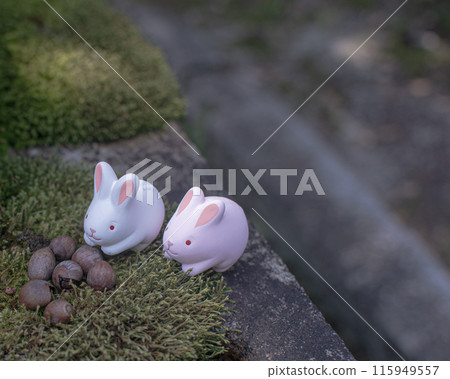Cute Bunnies Cute Bunnies 115949557
